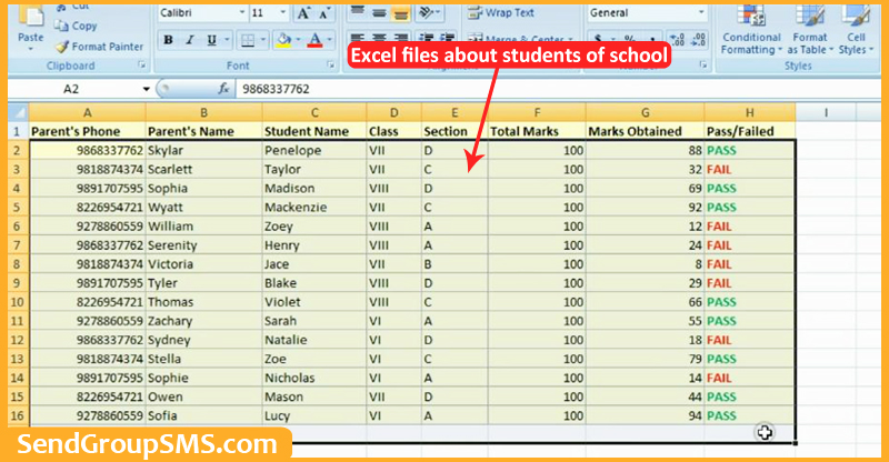 excel of student
